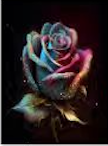 60x80 Plush Blanket -Glitter Rose (OPEN PACKAGE)